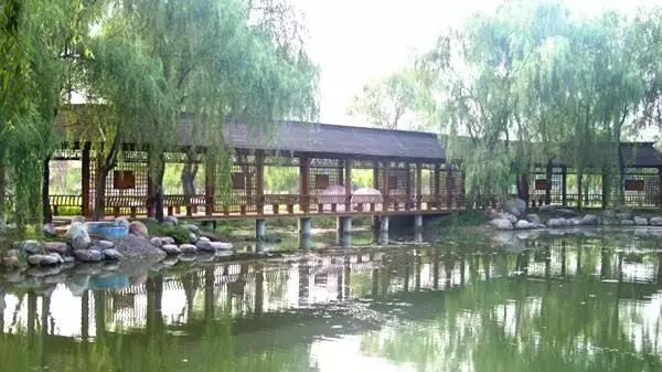 花木博览园一日游,春季游玩博览会