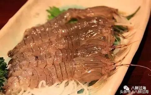 丹东腌制皮皮虾濑尿虾,濑尿虾好吃还是皮皮虾好吃