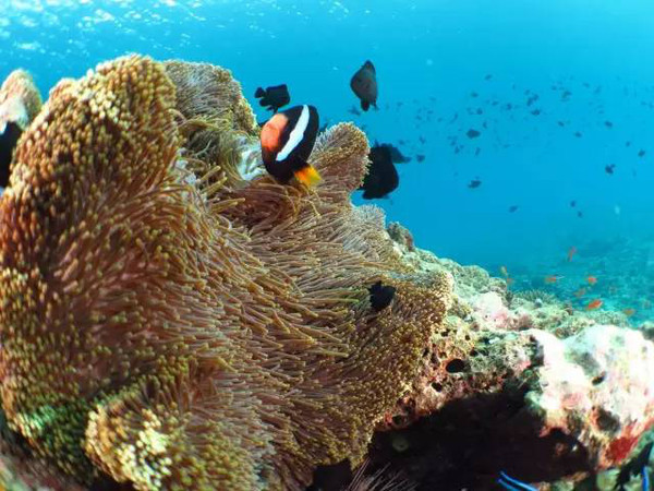 南海明珠岛,南海金银岛甘泉岛