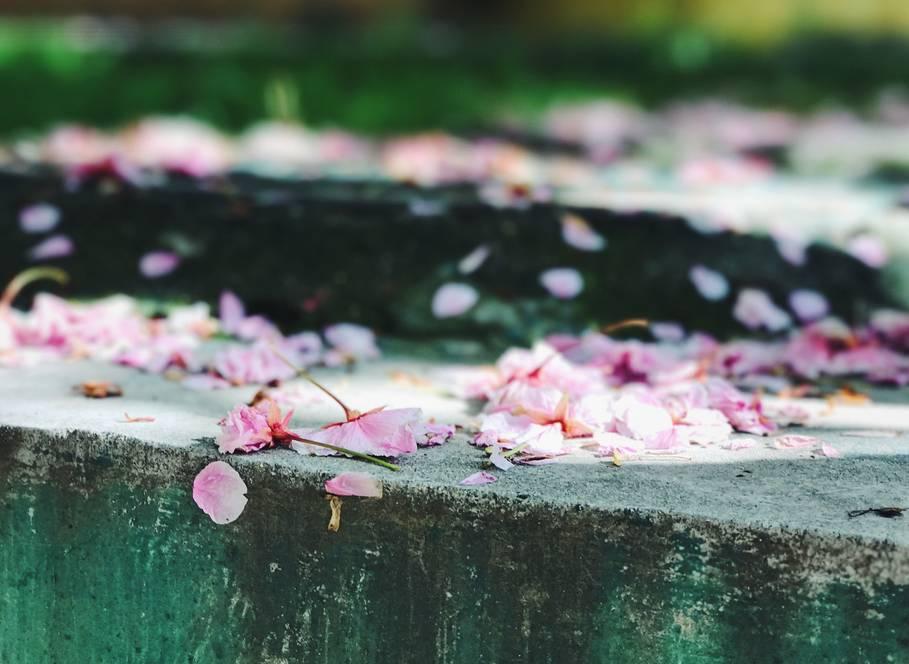 你有冷香丸吗?你还在谷雨过敏吗?