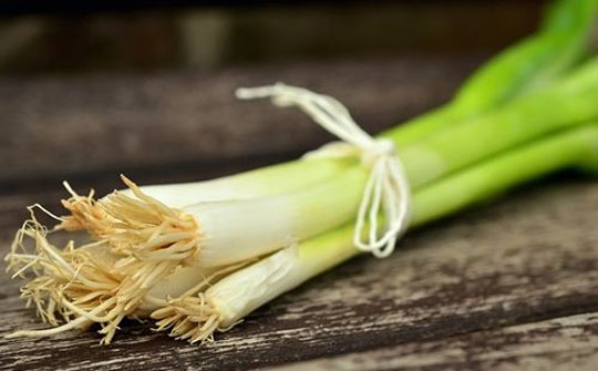食物是治病的良药,最具治愈性的一味良药