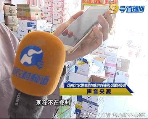 小麦枯黄打什么药最好,小麦枯黄生虫用什么肥