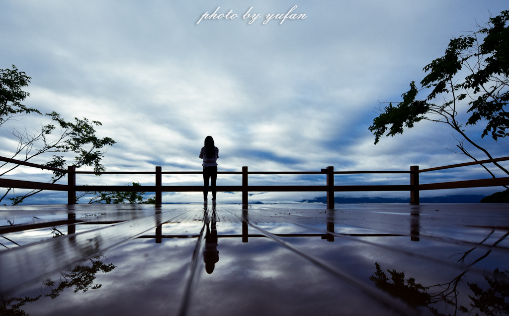 云端上的世外桃源，看看浇灌牛奶和土鸡蛋的有机乌龙茶长成啥样