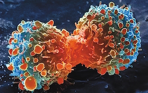 结直肠癌抗vegf靶向药,靶向egfr基因药物