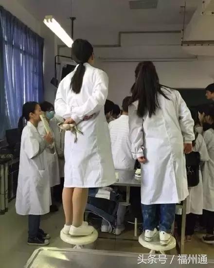 这美女厉害了！福州女大学生手绘人体解剖图太逼真！