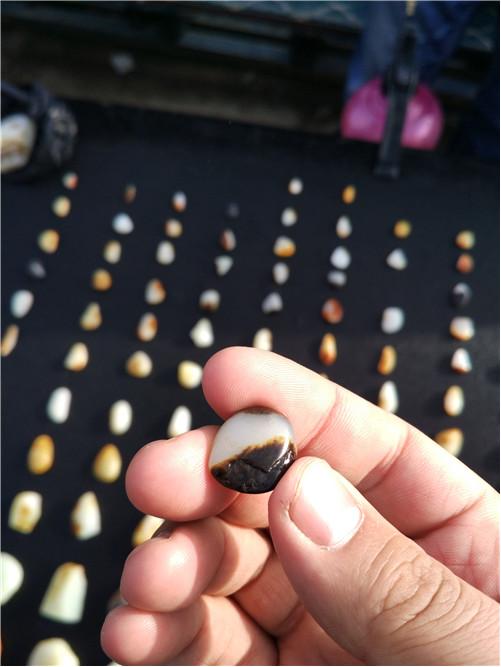 和田玉游记l看过纯羊毛鞋垫吗？喜洋洋美羊羊都有