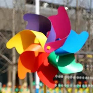 花木博览园一日游,春季游玩博览会