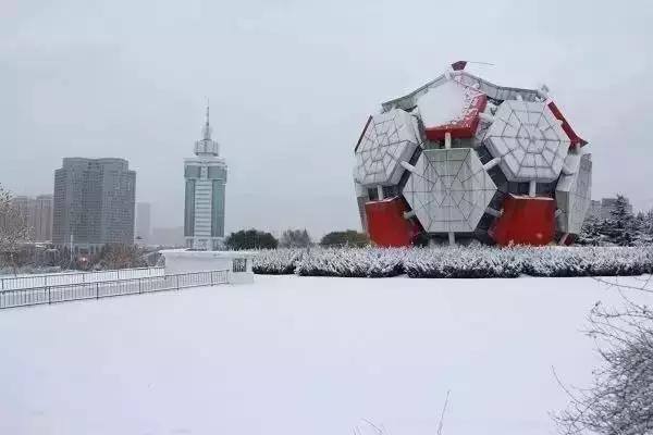 劳动公园大足球内部样子,劳动公园大足球叫什么