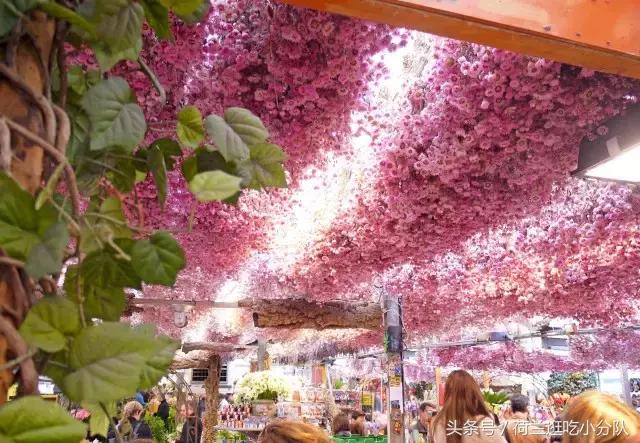 旅行必看｜它是全球唯一的水上鲜花市场，买花逛吃两不误！