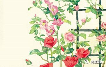 木质花架推荐用吗,什么样的木质花架好看