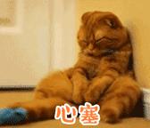 武汉五一去哪儿玩人少,五一去哪里玩武汉人少