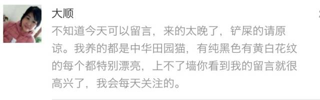 最常见的五种中华田园猫,中华田园猫有哪几种常见的