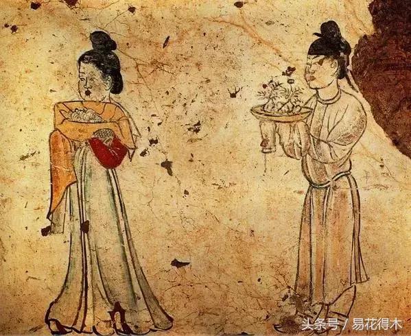 陶瓷花盆适合种什么花,仿瓷的花盆养花好吗