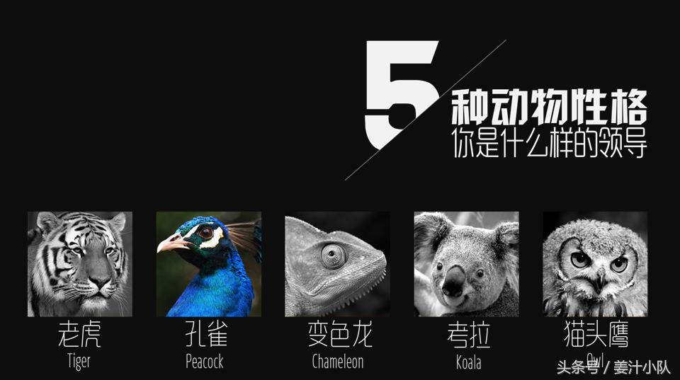 打造高颜值ppt的素材与方法,令人惊艳的ppt应该有什么特点