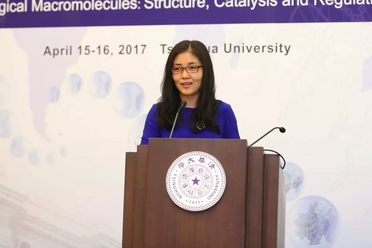 2017年结构生物学大会,国际科学大会