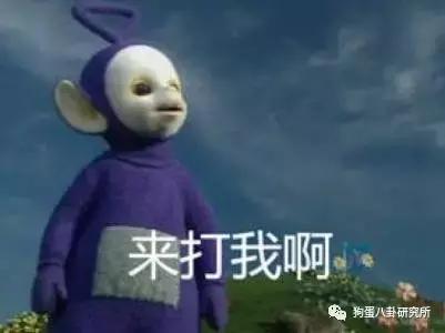 井柏然粉丝,井柏然和粉丝