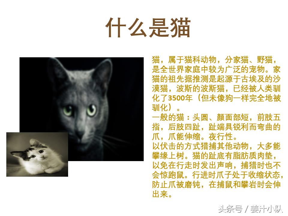 打造高颜值ppt的素材与方法,令人惊艳的ppt应该有什么特点