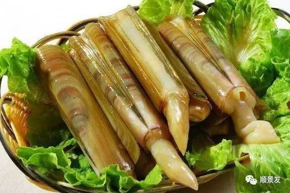 十种常见贝类海鲜图片,贝类海鲜全图