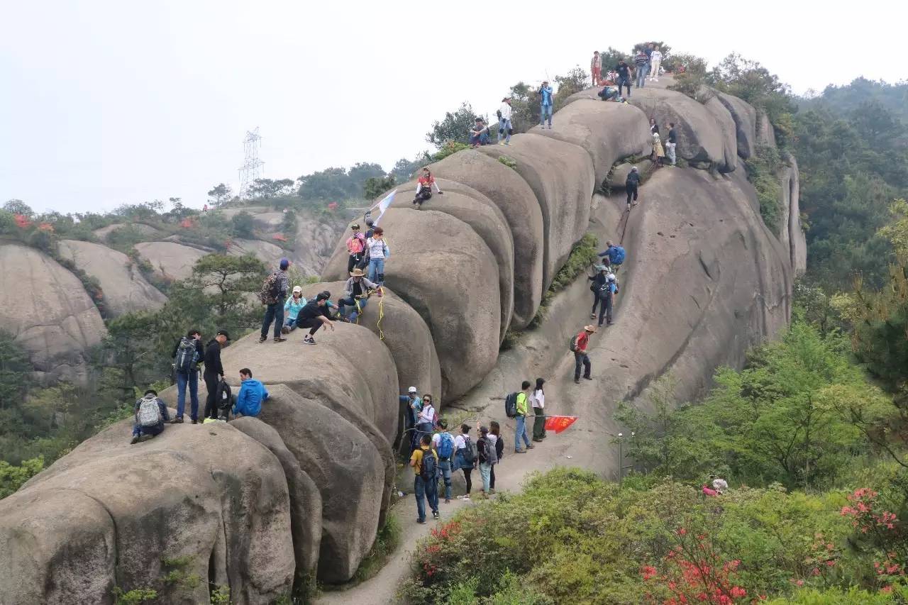 大罗山龙脊离百家尖有多远,大罗山瓯海一日游最佳路线图