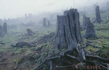 热门凡人修仙小说结局,小说凡人修仙传真仙篇