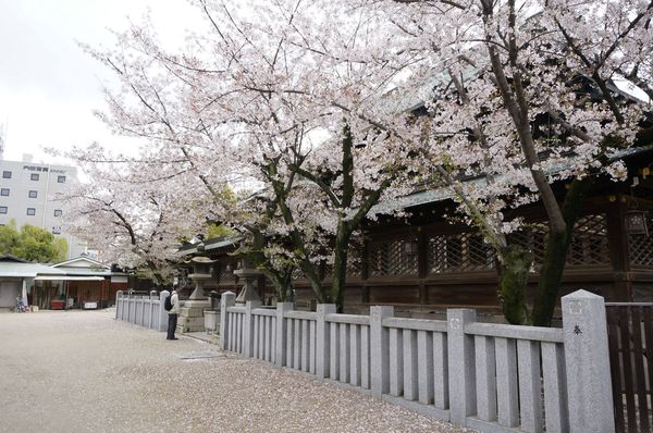 日本大阪八大经典逛吃地推荐附五年多次旅游签证办理详解