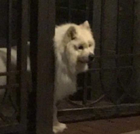 男子骑电瓶车失控撞上路边小哥,男子骑电动车撞上路边停放车受伤