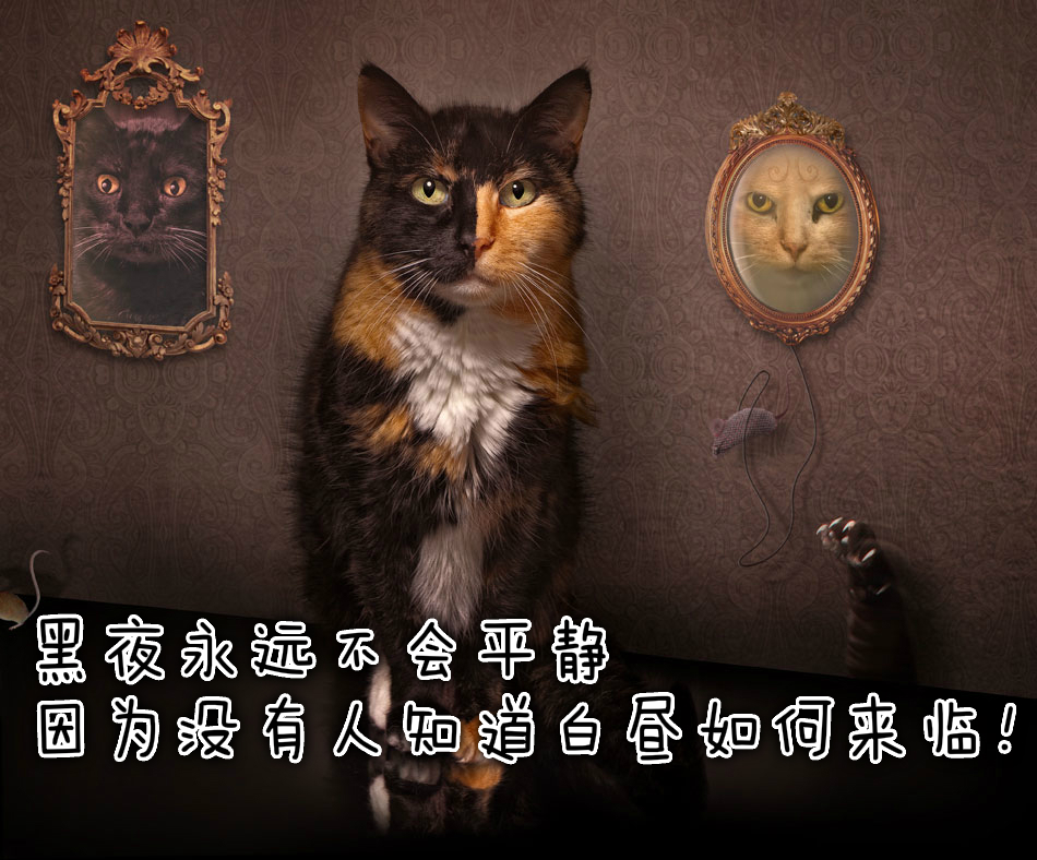 国学经典著作墨子精选名句100句,孔子墨子韩非子等国学精粹