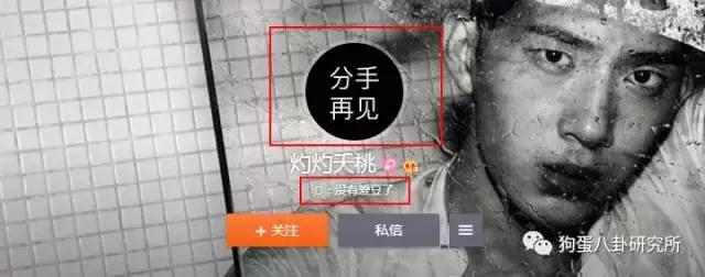 井柏然粉丝抱团脱饭，女友粉到底是一种怎样的存在？