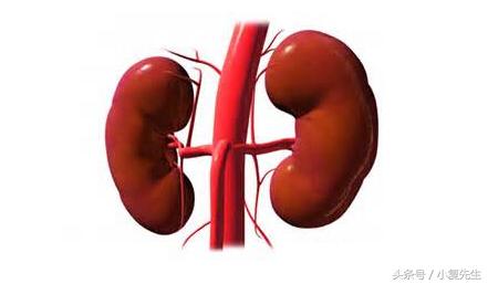 肾病综合征复发率是多少？简介肾病综合征复发及相关预防措施