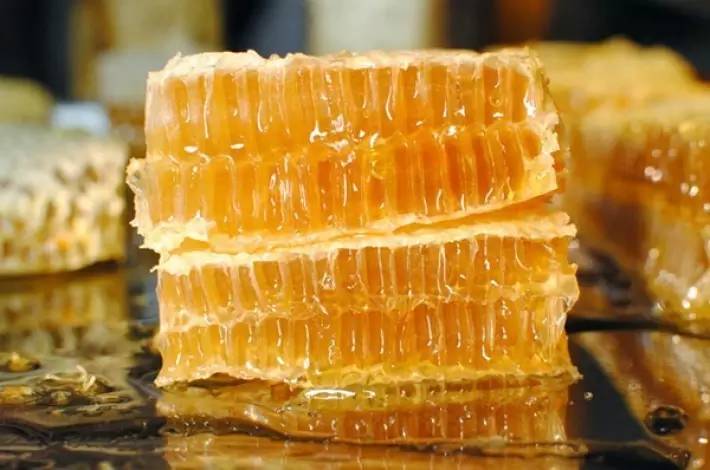 尝一口便是春天的味道,尝一口歌曲