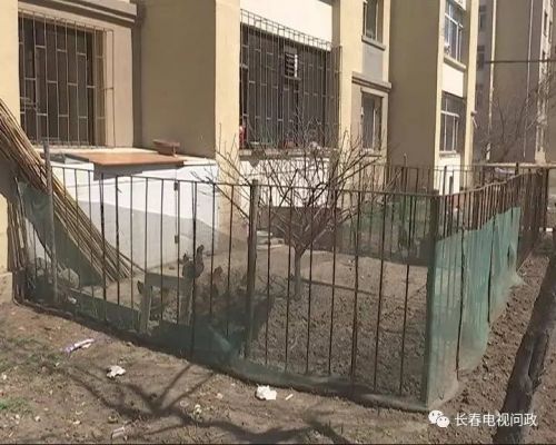 长春小区围墙被推倒,长春绿地违建拆除名单