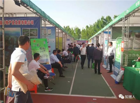 猪业山河论坛开幕,中国农牧产业大会生猪论坛