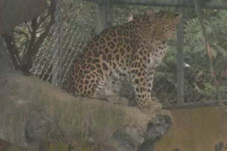 *旗国**下讲话｜守护规则守护生命守护你的心——伍小斌副校长