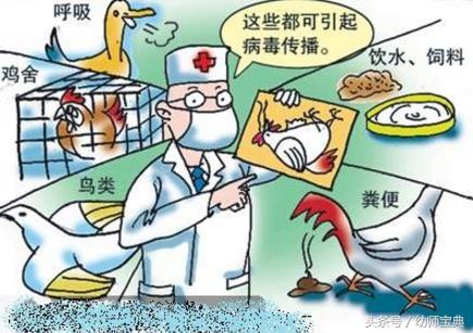 幼儿园小班健康教案我从哪里来,幼儿园小班健康教案天冷我不怕