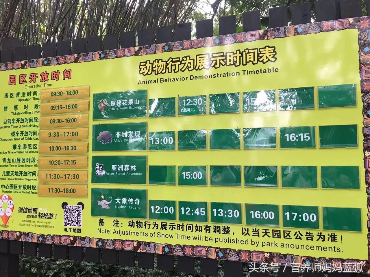 亲子游|井柏然推荐，长隆野生动物世界和海洋王国深度游记！