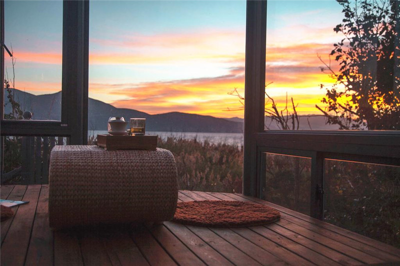 鲁豫和杨丽萍照片,美哭了新疆舞蹈