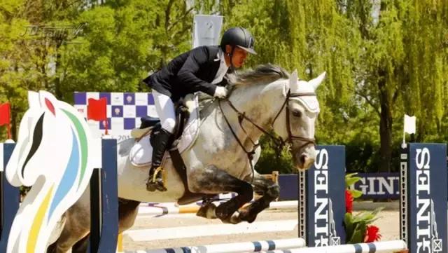 北京冠军杯马术巡回赛,2021鸟巢之路马术比赛