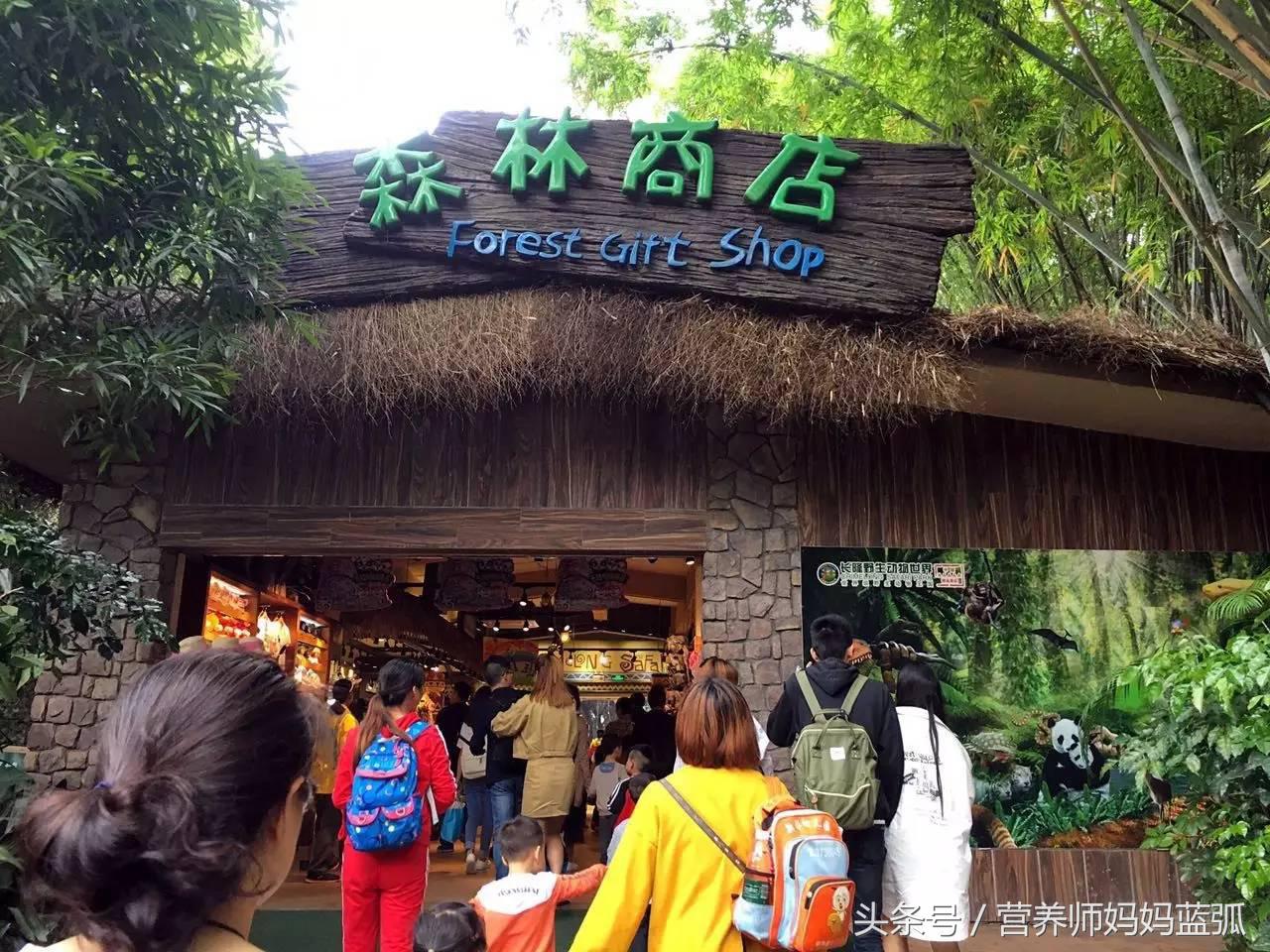 亲子游|井柏然推荐，长隆野生动物世界和海洋王国深度游记！