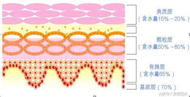 脸上毛孔粗大是什么原因引起的,皮肤粗糙暗沉毛孔粗大怎么改善
