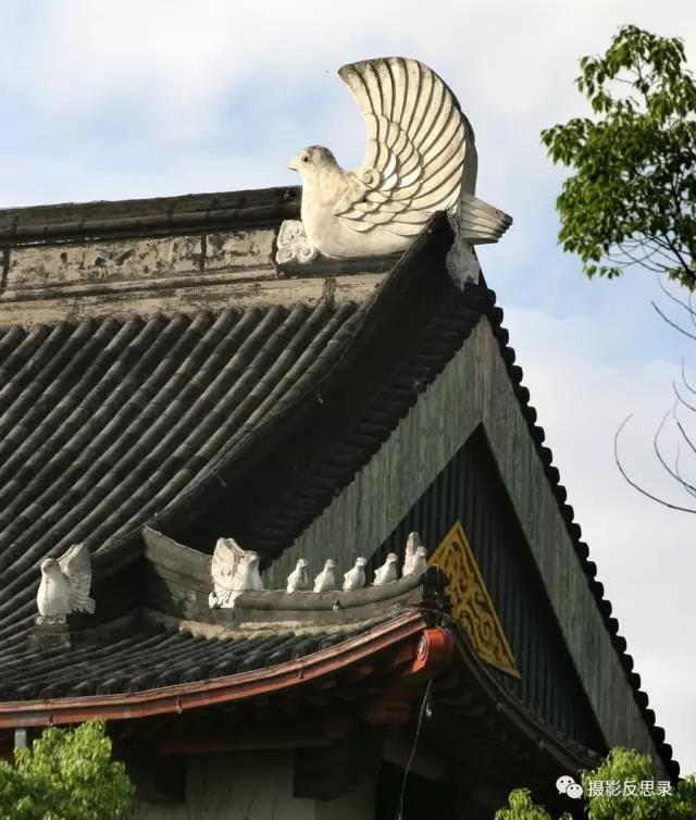 浙大玉泉照片,跨越百年的珍贵影像