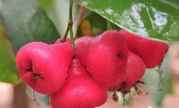 浙江五一旅游攻略亲子游,五一山东小众旅游亲子游