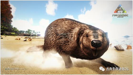 方舟15大萌宠评选,你家萌宠上榜了吗?