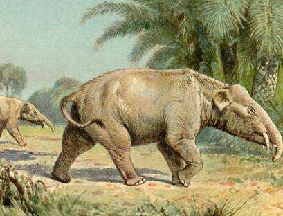 方舟15大萌宠评选,你家萌宠上榜了吗?