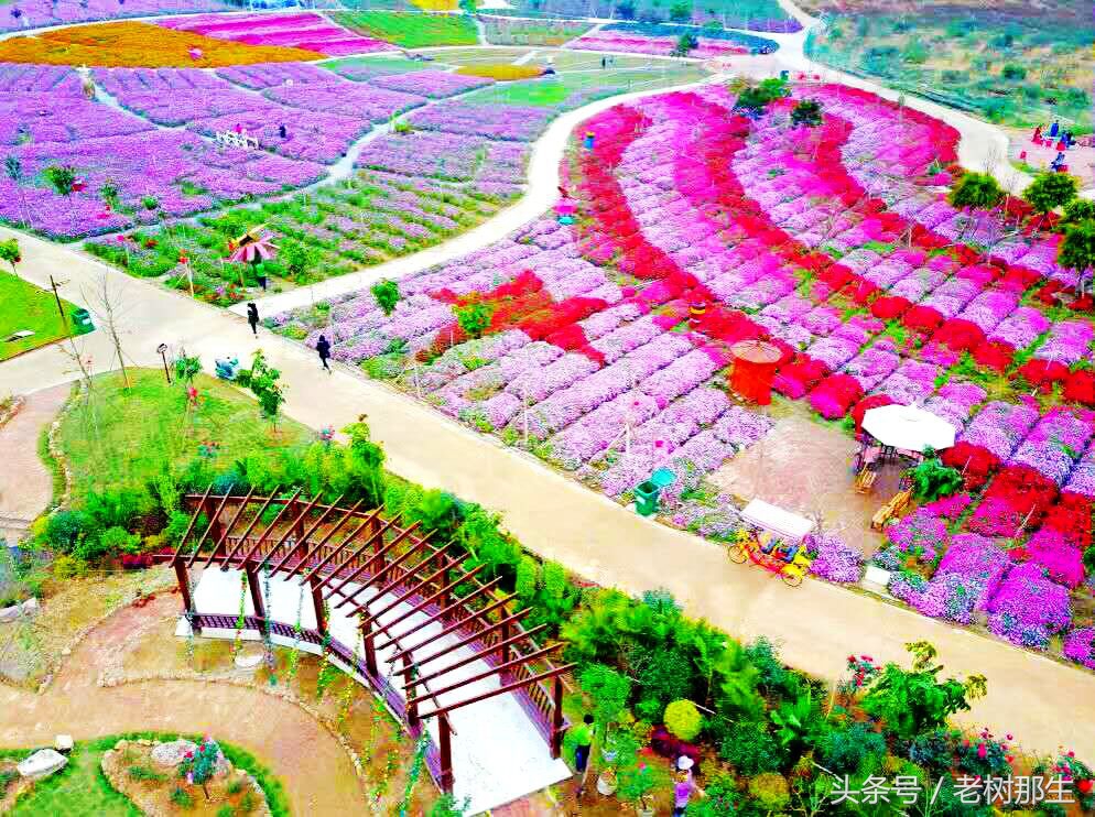 南宁花雨湖景区好玩吗,南宁花雨湖风景区