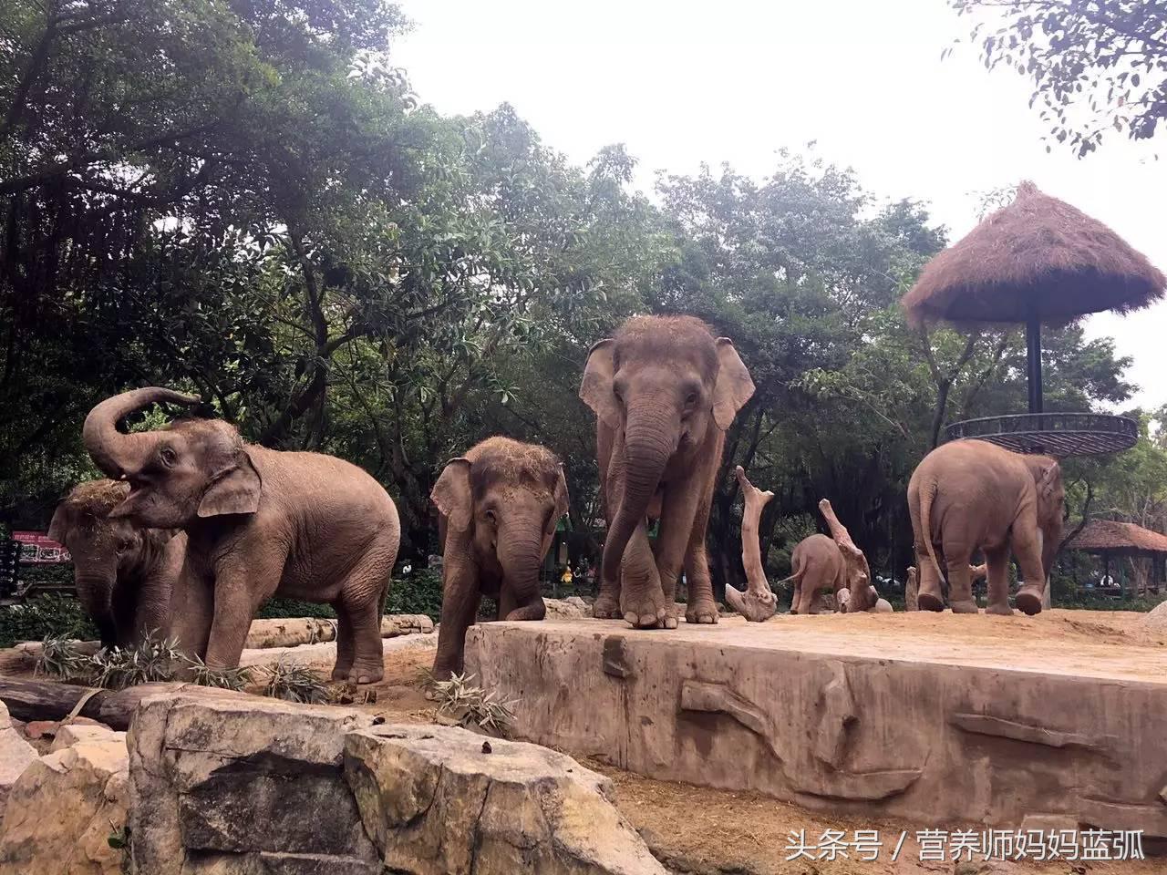 广州长隆海洋王国一日游攻略,广州长隆海洋王国亲子攻略