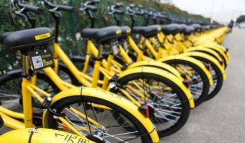 “蹲车族”日入4千元！眼红共享单车红包？薅羊毛当心被“咬手”