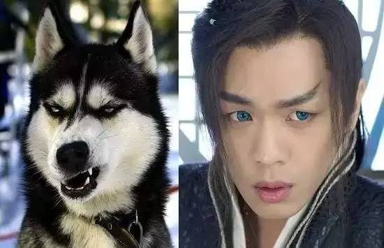 张若昀井柏然四合院,井柏然大江大河