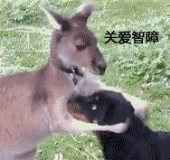 魅族手机怎么解锁网络锁,魅族手机密码锁解锁教程