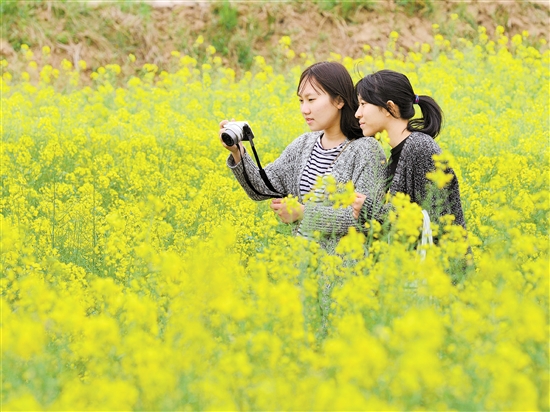 过敏了怎么办脸部,过敏了怎么办儿童