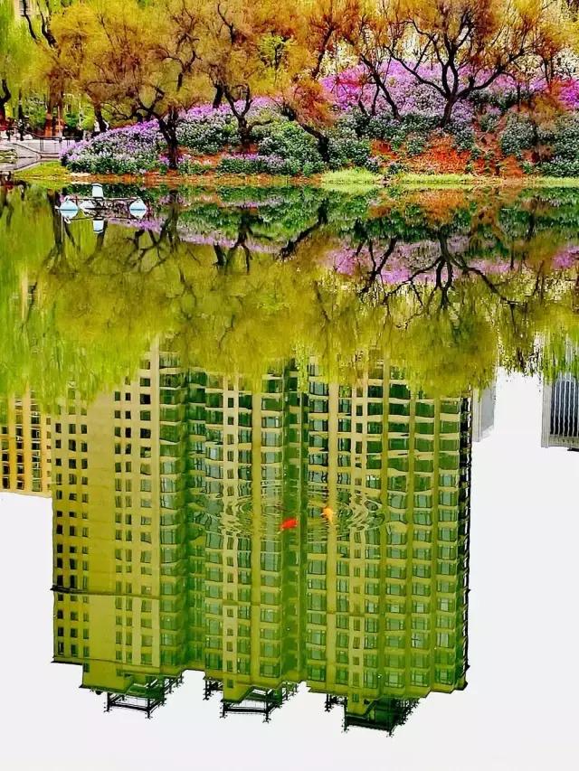 摄友作品点评,4月拍照